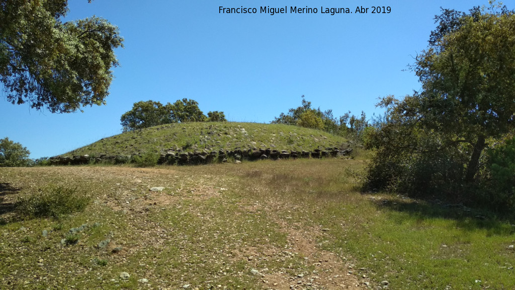 Dolmen del Pozuelo VI - Dolmen del Pozuelo VI. 