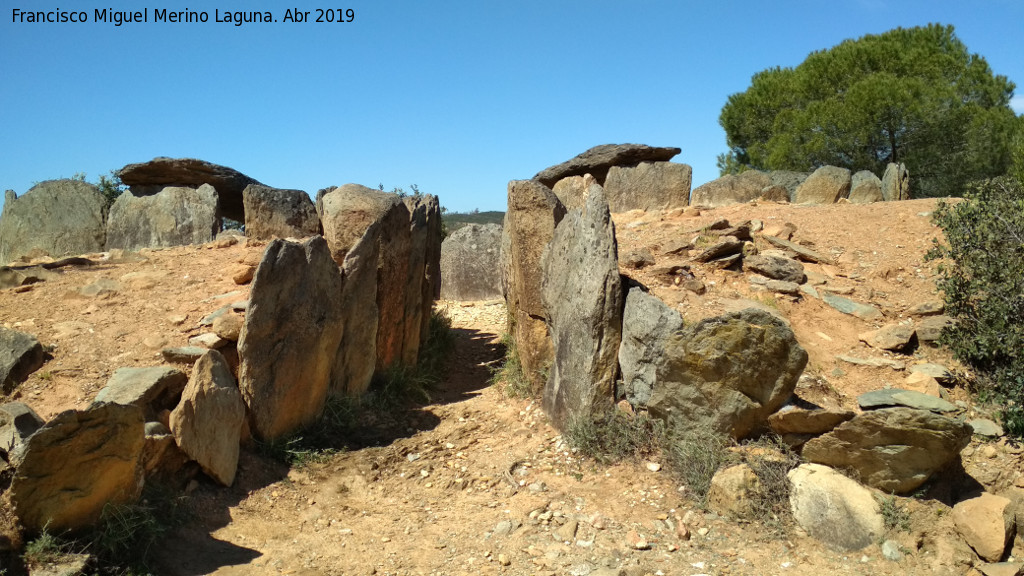 Dolmen del Pozuelo VII - Dolmen del Pozuelo VII. 