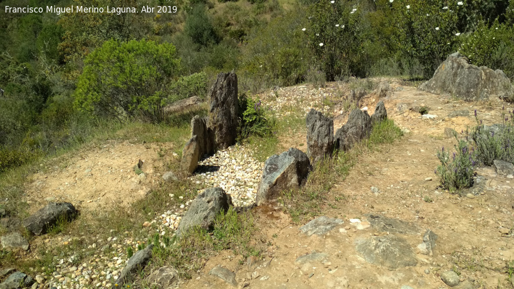 Dolmen del Pozuelo IX - Dolmen del Pozuelo IX. 