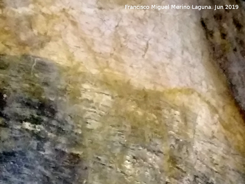Pinturas rupestres y petroglifos de la Cueva de Doa Trinidad - Pinturas rupestres y petroglifos de la Cueva de Doa Trinidad. Animal Caballo?