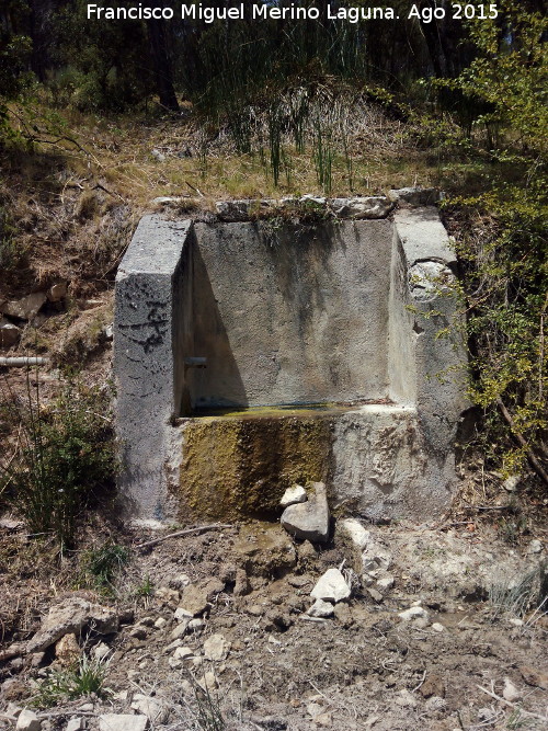 Fuente de la Zarza Chica - Fuente de la Zarza Chica. 