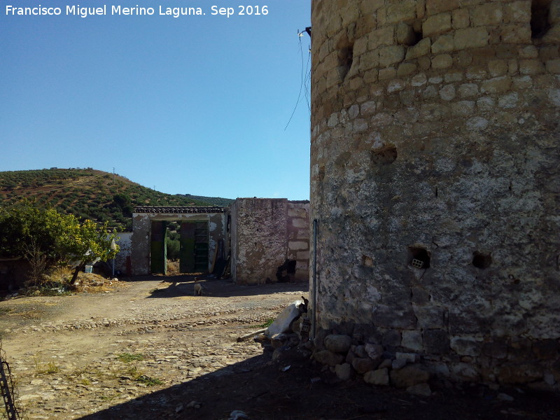 Cortijo de la Torre - Cortijo de la Torre. Patio