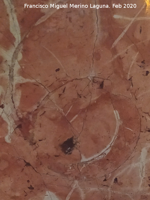 Bas�lica de San Ildefonso. Altar de la Divina Pastora - Bas�lica de San Ildefonso. Altar de la Divina Pastora. Ammonitico Rosso