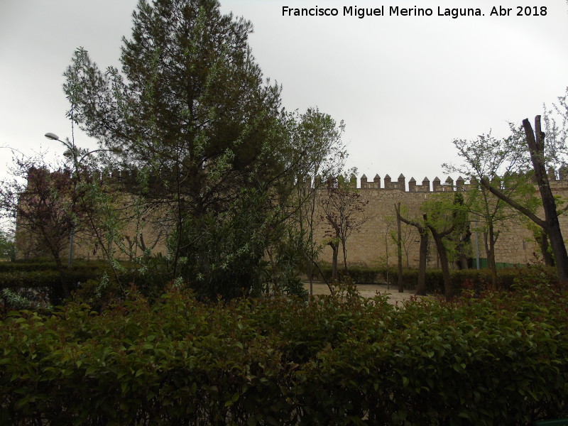 Castillo de la Vela - Castillo de la Vela. Muralla