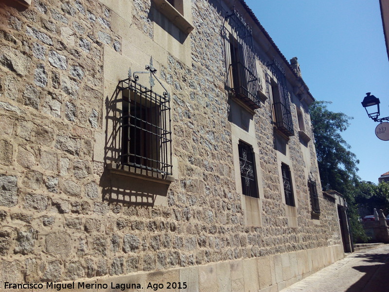 Palacio de Travesedo y Silvela - Palacio de Travesedo y Silvela. 