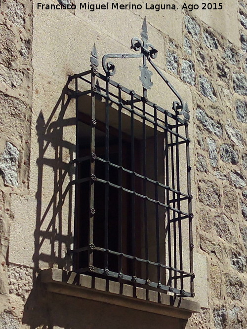 Palacio de Travesedo y Silvela - Palacio de Travesedo y Silvela. Reja