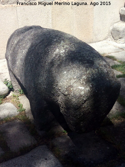 Palacio de Travesedo y Silvela - Palacio de Travesedo y Silvela. Berraco vetn