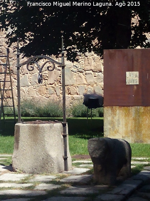 Palacio de Travesedo y Silvela - Palacio de Travesedo y Silvela. Pozo y berraco