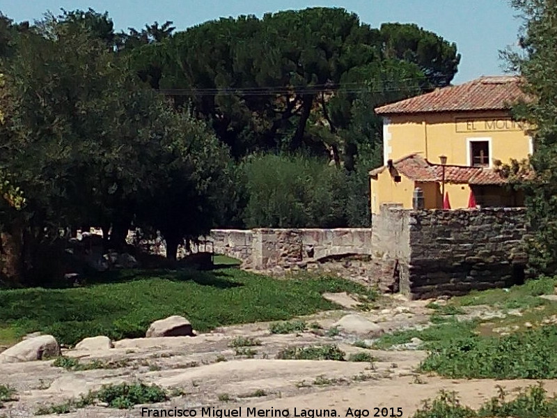 Molino de la Losa - Molino de la Losa. Puente