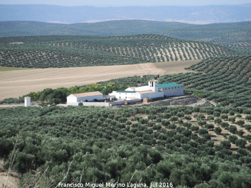 Cortijo de Pachena - Cortijo de Pachena. 