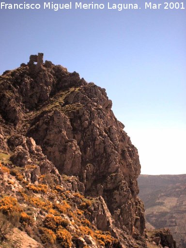 Cerro del Castillo - Cerro del Castillo. 