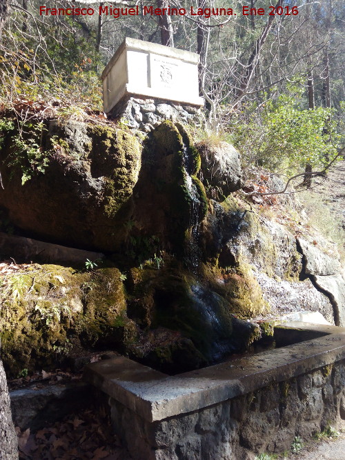 Fuente de los Mansegosos - Fuente de los Mansegosos. 