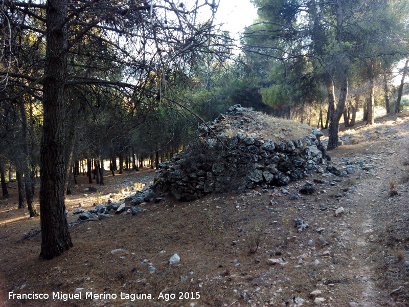 Chozo de la Hoya de la Sierra - Chozo de la Hoya de la Sierra. Parte trasera