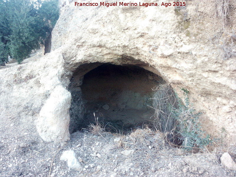 Casa cueva de Bercho - Casa cueva de Bercho. 