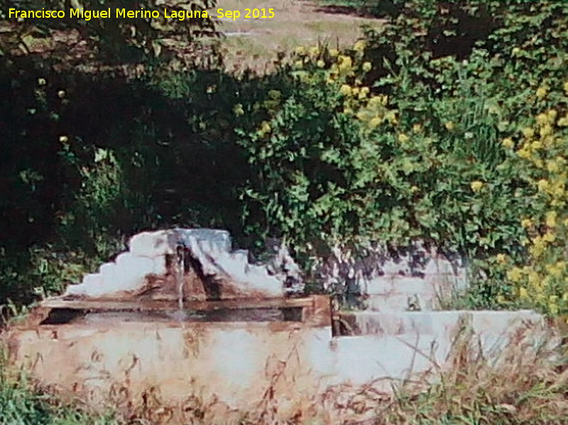 Fuente del Piojo - Fuente del Piojo. 