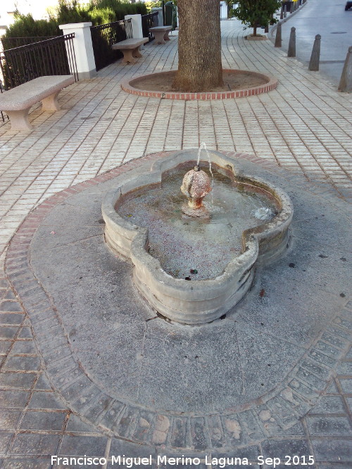 Fuente de las Ranas - Fuente de las Ranas. 