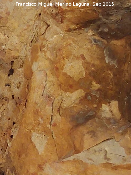 Pinturas rupestres del Abrigo Neandertal de la Serrezuela - Pinturas rupestres del Abrigo Neandertal de la Serrezuela. Digitaciones