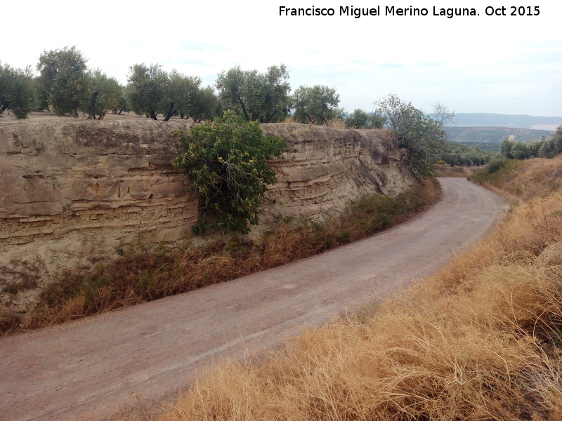 Camino de Granada - Camino de Granada. 