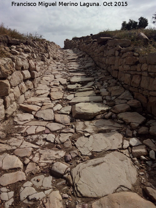 Torreparedones. Decumano mximo - Torreparedones. Decumano mximo. Con su cloaca central