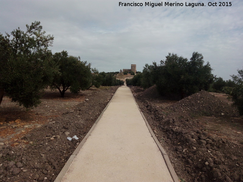 Torreparedones. Cardo - Torreparedones. Cardo. 