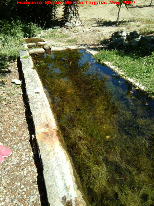 Fuente Ca Povares - Fuente Ca Povares. Pilar