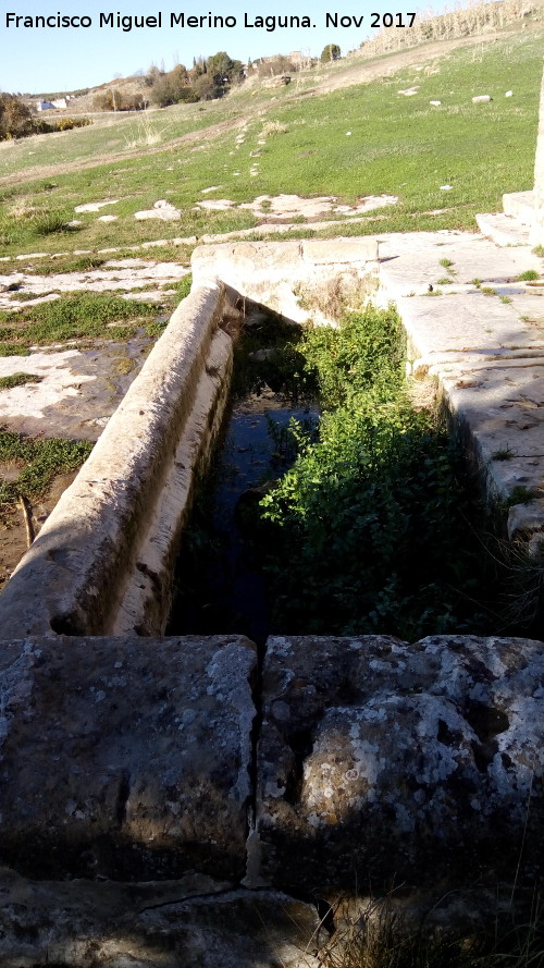 Fuente de la Alameda - Fuente de la Alameda. Pilar