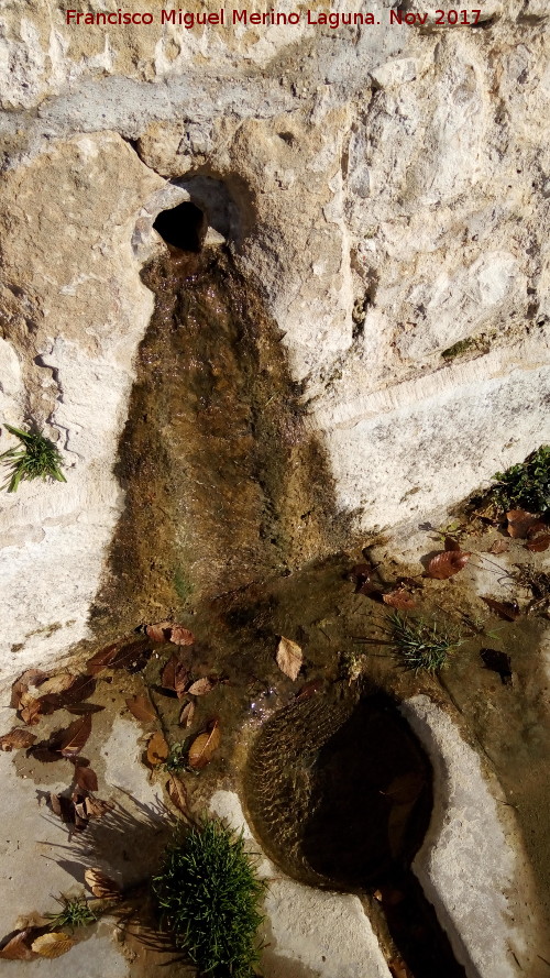 Fuente de la Alameda - Fuente de la Alameda. Cao expoliado