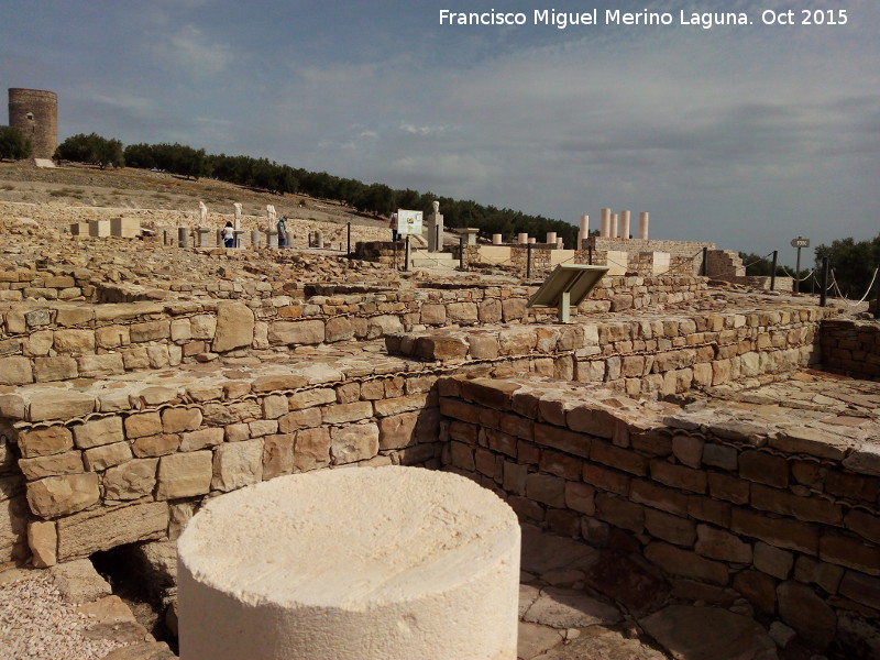 Torreparedones. Macellum - Torreparedones. Macellum. El foro desde el Macellum