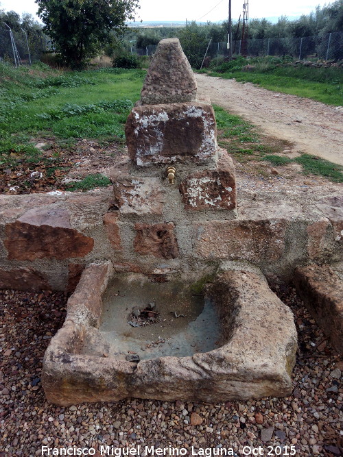 Fuente del Pozo de la Vega - Fuente del Pozo de la Vega. 