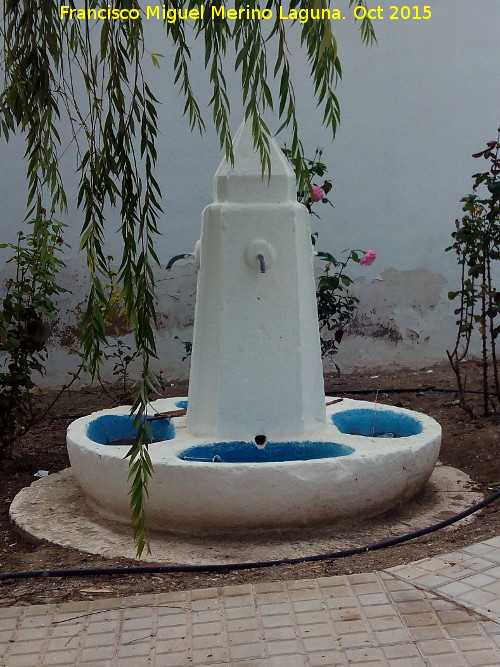 Fuente de San Miguel - Fuente de San Miguel. 