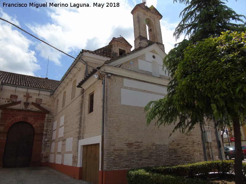 Iglesia de la Asuncin - Iglesia de la Asuncin. 