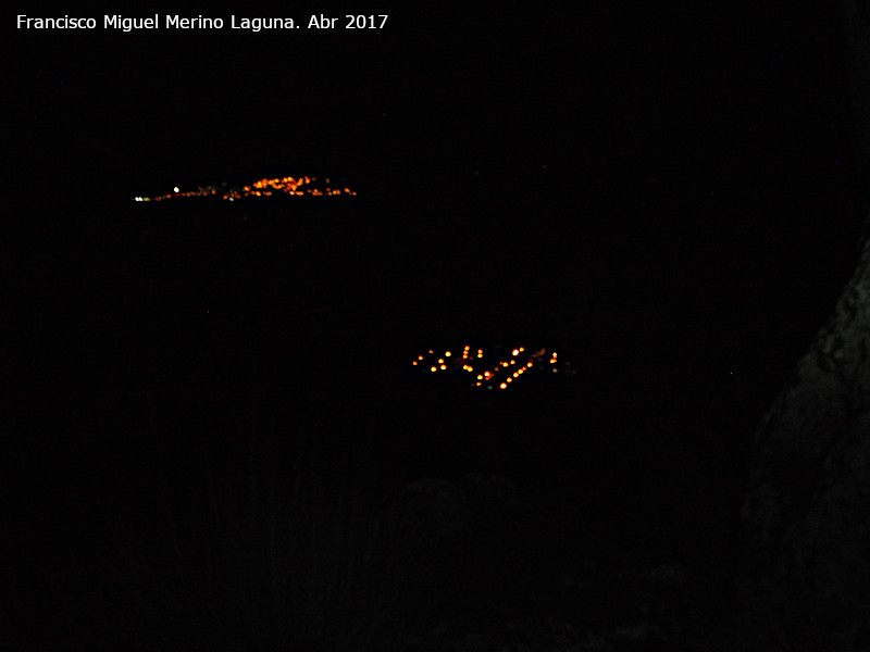 Albanchez de Mgina - Albanchez de Mgina. Bedmar y Albanchez de Mgina desde el Aznaitn de noche