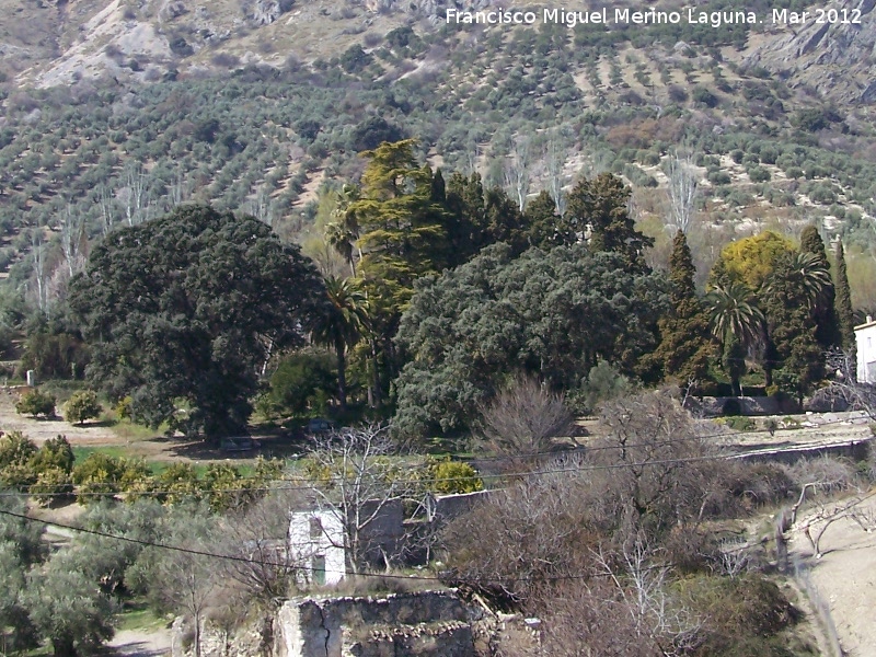 Paseo de los Adoquines - Paseo de los Adoquines. 