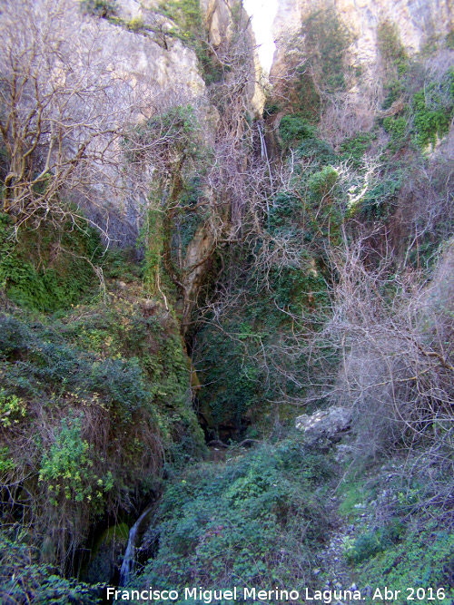 Caldera del To Lobo - Caldera del To Lobo. Paraje