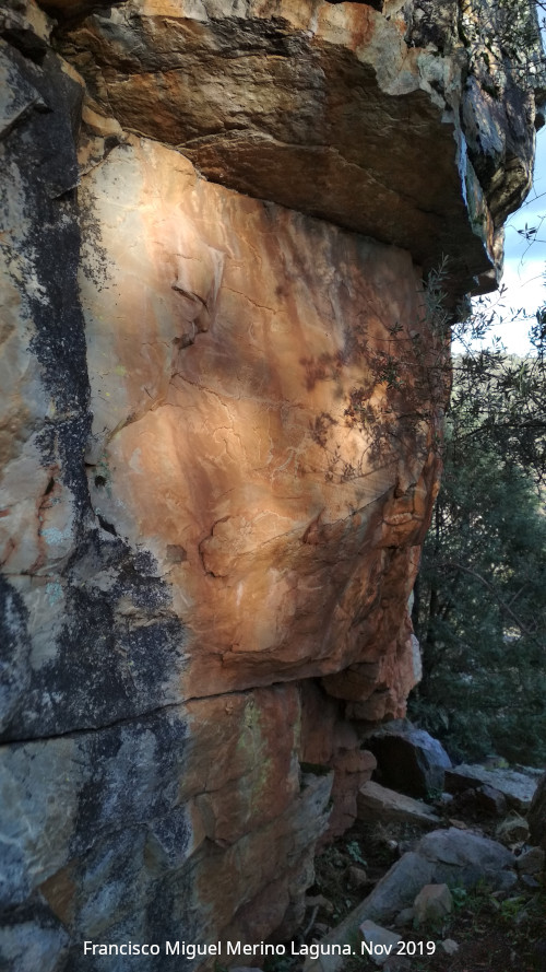 Pinturas rupestres del Arroyo de Martn Prez I - Pinturas rupestres del Arroyo de Martn Prez I. Abrigo