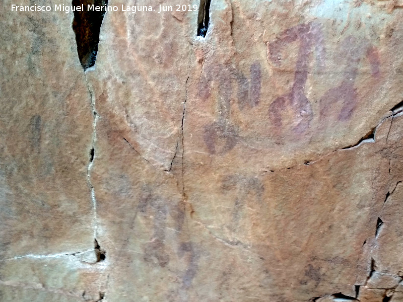Pinturas rupestres de la Cueva de los Mosquitos - Pinturas rupestres de la Cueva de los Mosquitos. 