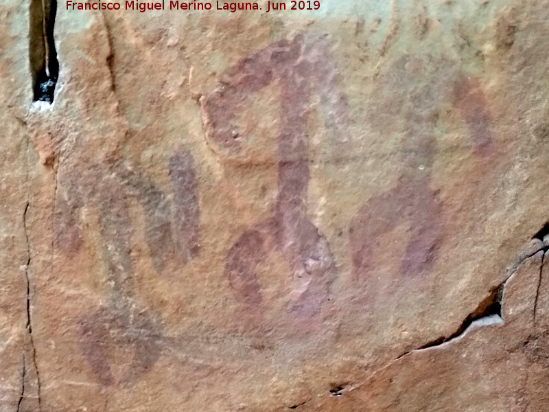 Pinturas rupestres de la Cueva de los Mosquitos - Pinturas rupestres de la Cueva de los Mosquitos. Antropomorfos superiores