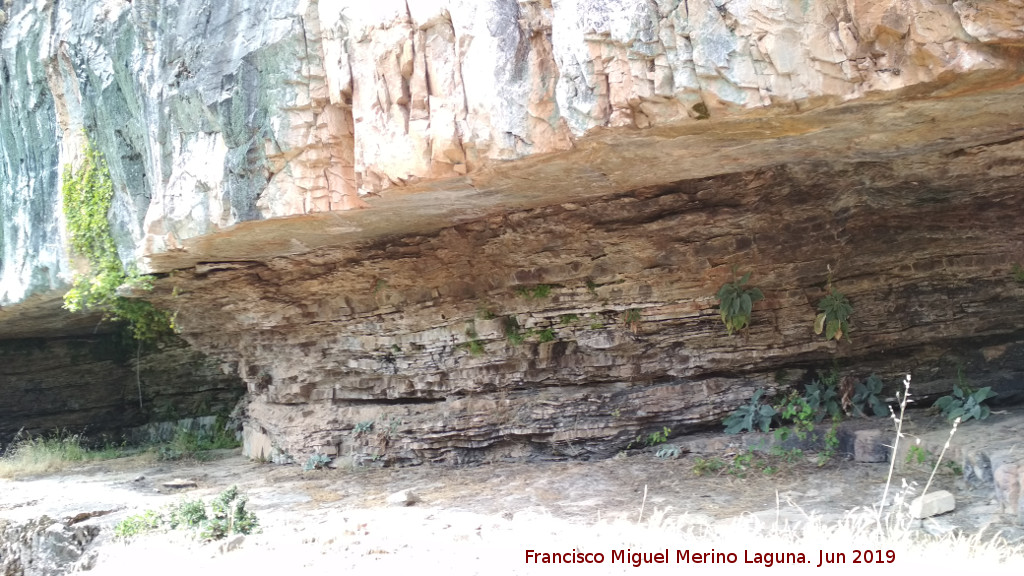 Pinturas rupestres de la Cueva de los Mosquitos - Pinturas rupestres de la Cueva de los Mosquitos. Abrigo