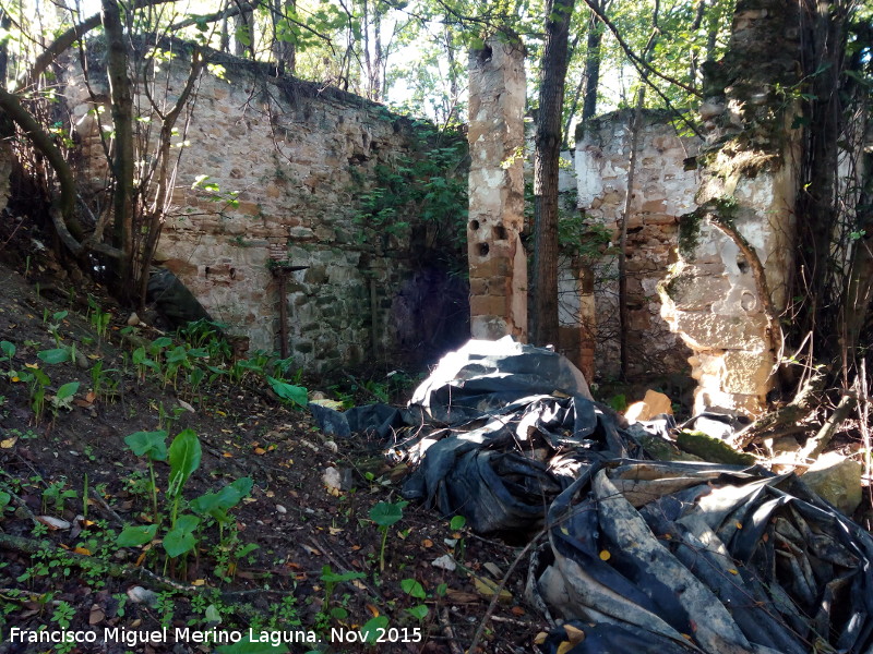 Molino del Rincn - Molino del Rincn. Interior