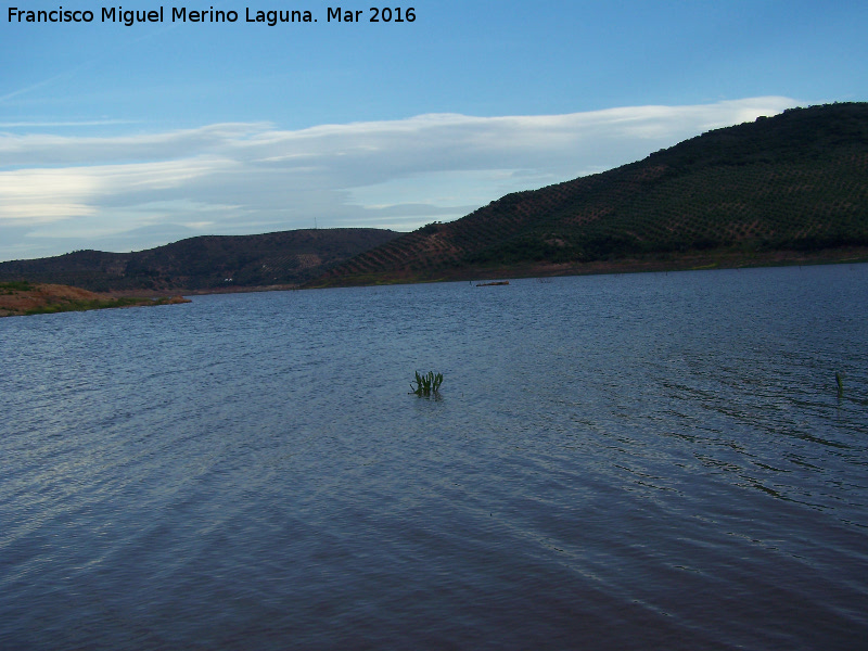 Pantano de Giribaile - Pantano de Giribaile. 