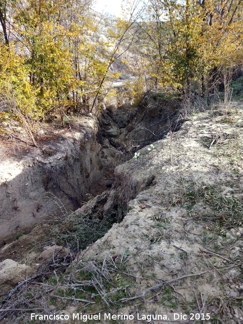 Arroyo de los Grajos - Arroyo de los Grajos. 