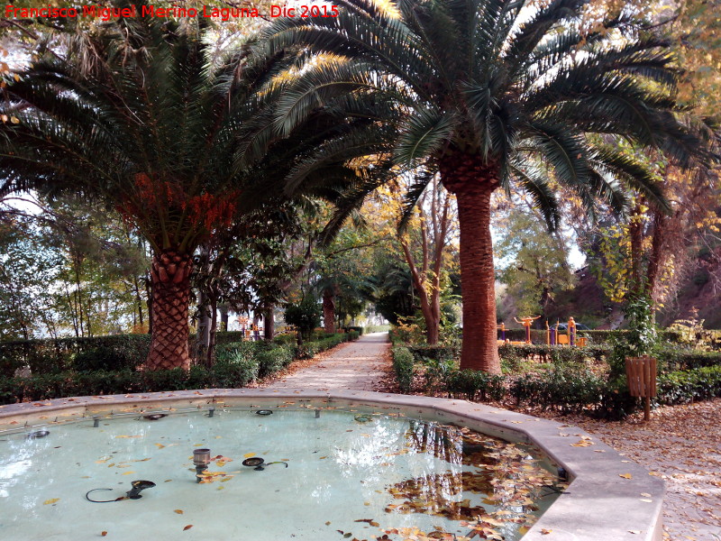 Fuente del Paso - Fuente del Paso. 