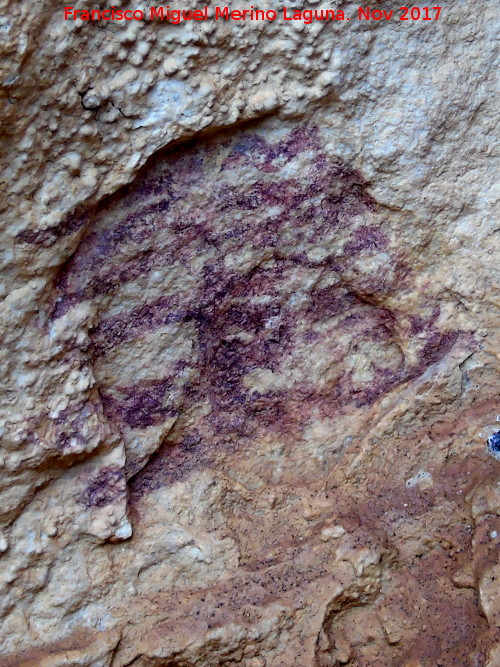 Pinturas rupestres de la Cueva de la Graja-Grupo I - Pinturas rupestres de la Cueva de la Graja-Grupo I. Ramiforme