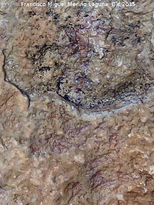 Pinturas rupestres de la Cueva de la Graja-Grupo VI - Pinturas rupestres de la Cueva de la Graja-Grupo VI. Pinturas rupestres del centro