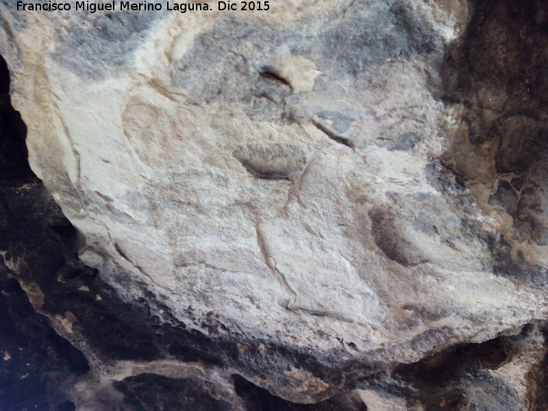 Pinturas rupestres de la Cueva de la Graja-Grupo VII - Pinturas rupestres de la Cueva de la Graja-Grupo VII. Pinturas desvadas