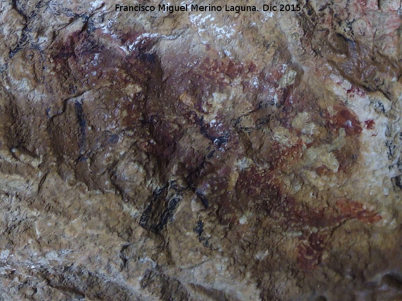 Pinturas rupestres de la Cueva de la Graja-Grupo XII - Pinturas rupestres de la Cueva de la Graja-Grupo XII. Antropomorfo izquierdo