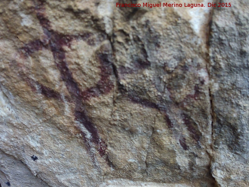 Pinturas rupestres de la Cueva de la Graja-Grupo XIV - Pinturas rupestres de la Cueva de la Graja-Grupo XIV. Pareja de antropomorfos tipo phi con dos piernas