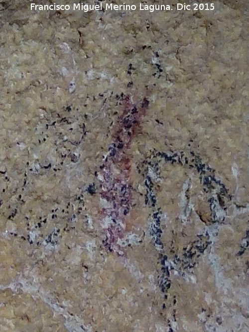 Pinturas rupestres de la Cueva de la Graja-Grupo XIV - Pinturas rupestres de la Cueva de la Graja-Grupo XIV. Barra vertical