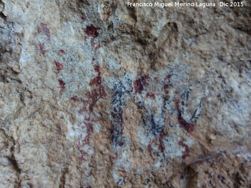 Pinturas rupestres de la Cueva de la Graja-Grupo XV - Pinturas rupestres de la Cueva de la Graja-Grupo XV. Zooformo superior
