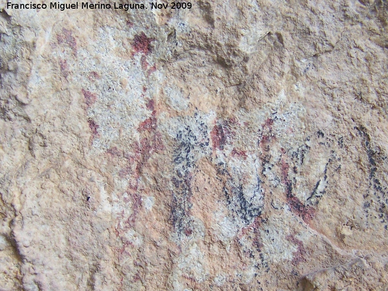 Pinturas rupestres de la Cueva de la Graja-Grupo XV - Pinturas rupestres de la Cueva de la Graja-Grupo XV. Zooformo superior